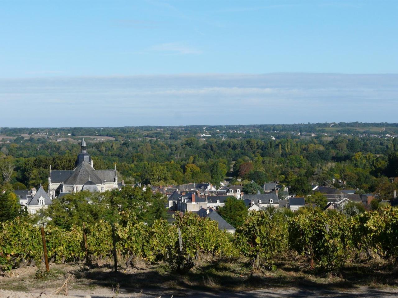 Clos Sainte Catherine Rochefort-sur-Loire Buitenkant foto