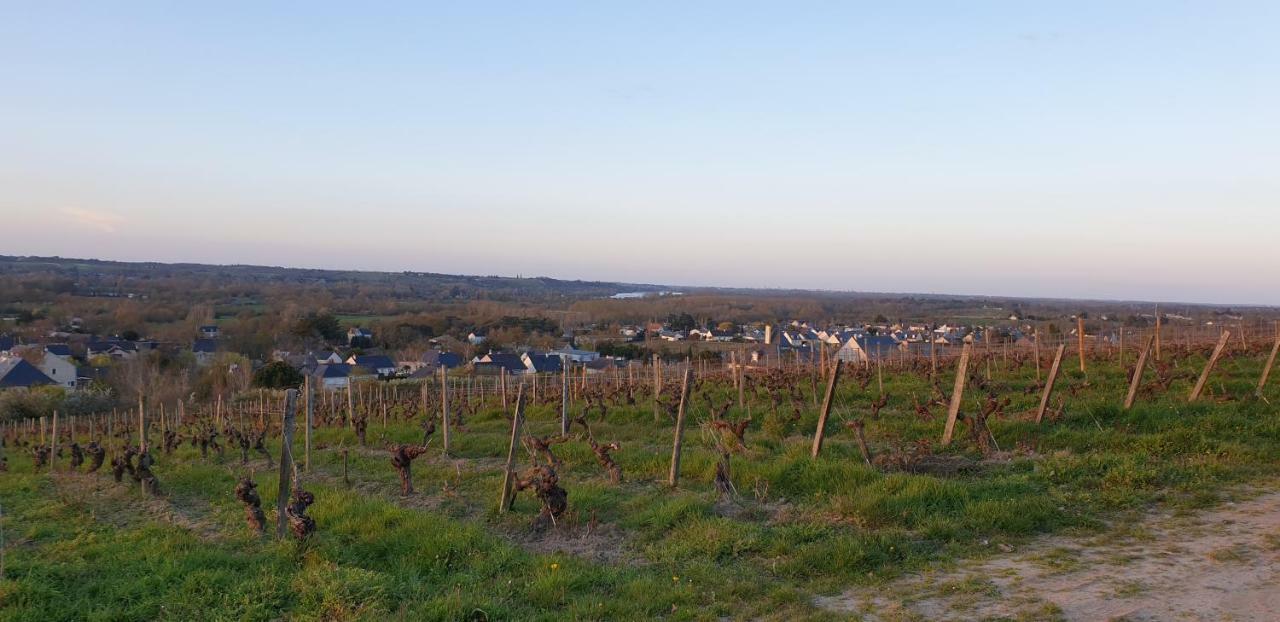 Clos Sainte Catherine Rochefort-sur-Loire Buitenkant foto